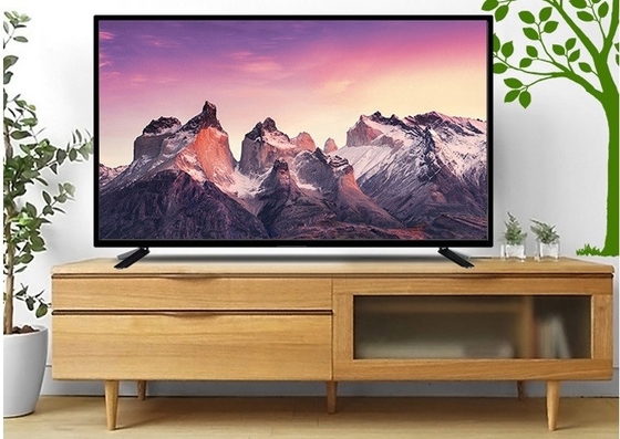 Sprecher 2pcs Fernsehen mit großem Bildschirm LCD